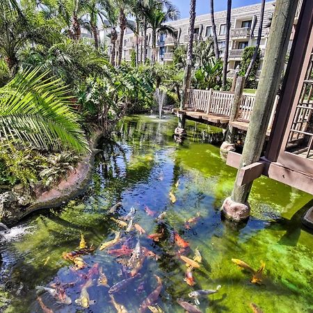 Charming Oceanside Condo With Beach And Pool Access! Ngoại thất bức ảnh