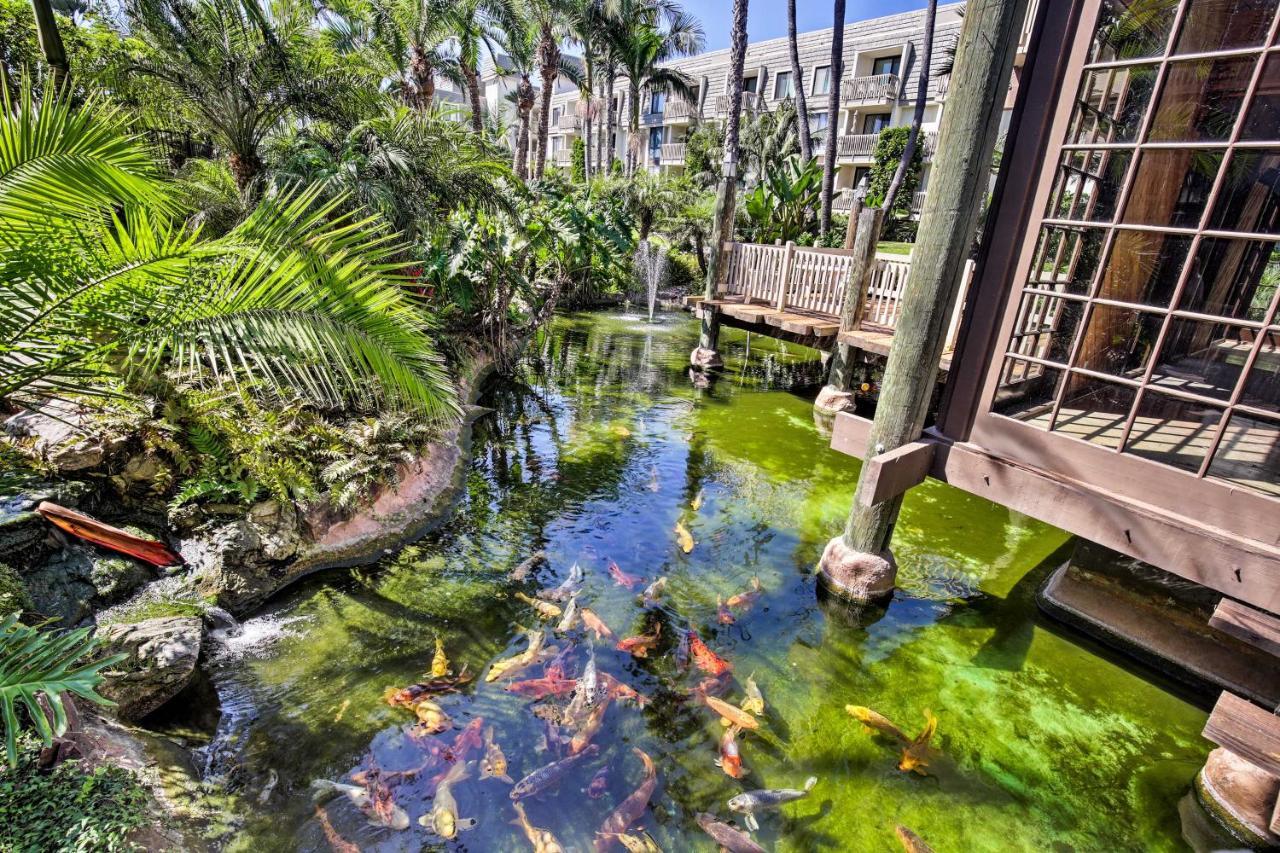 Charming Oceanside Condo With Beach And Pool Access! Ngoại thất bức ảnh
